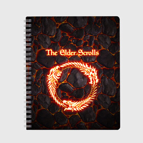 Тетрадь с принтом THE ELDER SCROLLS , 100% бумага | 48 листов, плотность листов — 60 г/м2, плотность картонной обложки — 250 г/м2. Листы скреплены сбоку удобной пружинной спиралью. Уголки страниц и обложки скругленные. Цвет линий — светло-серый
 | eld old scroll | old scroll | scrolls skyrim | scrolls v skyrim | the elder online | the elder scrolls | древние свитки. | игра | скайрим | элдер скролс