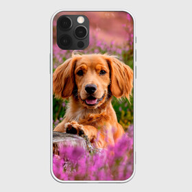 Чехол для iPhone 12 Pro Max с принтом Dog , Силикон |  | dog | животные | пес | природа | собака | собаки | собакчка | собачки