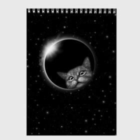 Скетчбук с принтом Кот в Космосе , 100% бумага
 | 48 листов, плотность листов — 100 г/м2, плотность картонной обложки — 250 г/м2. Листы скреплены сверху удобной пружинной спиралью | 2021 | cat | вселенная | галактика | галактический кот | единорог | звезда | звезды | земля | космический кот | космос | кот | кот в космосе | кот мем | котик | кошак | мем | мемы | милый кот | милый котик