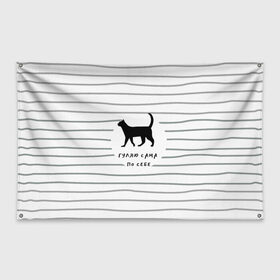Флаг-баннер с принтом Гуляю сама по себе , 100% полиэстер | размер 67 х 109 см, плотность ткани — 95 г/м2; по краям флага есть четыре люверса для крепления | гулять | дерзкая надпись | дикая кошка | кошка | пафосная надпись | полоска | серый | черный | черный кот