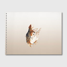Альбом для рисования с принтом летящая сова рисунок , 100% бумага
 | матовая бумага, плотность 200 мг. | акварель | акварельный | арт | брызги | градиент | животные | звери | краска | крылья | момент | полет | потеки | рисунок | скетч | сова | филин