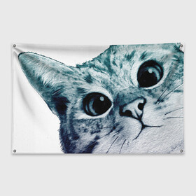 Флаг-баннер с принтом Любопытный кот , 100% полиэстер | размер 67 х 109 см, плотность ткани — 95 г/м2; по краям флага есть четыре люверса для крепления | cat | домашние животные | животные | звери | кат | кот | котенок | коты | кошка