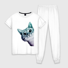 Женская пижама хлопок с принтом Любопытный кот , 100% хлопок | брюки и футболка прямого кроя, без карманов, на брюках мягкая резинка на поясе и по низу штанин | cat | домашние животные | животные | звери | кат | кот | котенок | коты | кошка