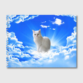 Альбом для рисования с принтом Кот в облаках , 100% бумага
 | матовая бумага, плотность 200 мг. | animals | cat | kitty | ангел | белый кот | блики | взгляд кота | глаза кота | животные | киска | кот | котейка | котенок | котик | кошак | кошка | лучи | мордочка | небесный | небо | облака | пейзаж | питомец