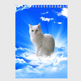 Скетчбук с принтом Кот в облаках , 100% бумага
 | 48 листов, плотность листов — 100 г/м2, плотность картонной обложки — 250 г/м2. Листы скреплены сверху удобной пружинной спиралью | animals | cat | kitty | ангел | белый кот | блики | взгляд кота | глаза кота | животные | киска | кот | котейка | котенок | котик | кошак | кошка | лучи | мордочка | небесный | небо | облака | пейзаж | питомец
