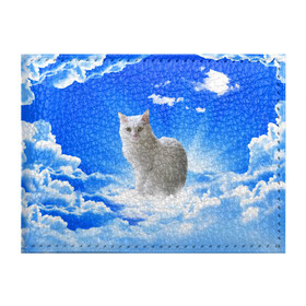 Обложка для студенческого билета с принтом Кот в облаках , натуральная кожа | Размер: 11*8 см; Печать на всей внешней стороне | animals | cat | kitty | ангел | белый кот | блики | взгляд кота | глаза кота | животные | киска | кот | котейка | котенок | котик | кошак | кошка | лучи | мордочка | небесный | небо | облака | пейзаж | питомец