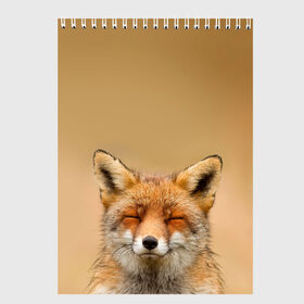 Скетчбук с принтом Милая лисичка , 100% бумага
 | 48 листов, плотность листов — 100 г/м2, плотность картонной обложки — 250 г/м2. Листы скреплены сверху удобной пружинной спиралью | fox | foxy | животное | звери | лиса | лисенок | лисичка | милая | рыжая | фокс