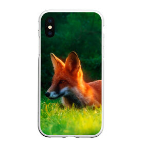 Чехол для iPhone XS Max матовый с принтом Рыжая лиса , Силикон | Область печати: задняя сторона чехла, без боковых панелей | fox | foxy | животное | звери | лиса | лисенок | лисичка | милая | рыжая | фокс