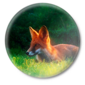Значок с принтом Рыжая лиса ,  металл | круглая форма, металлическая застежка в виде булавки | fox | foxy | животное | звери | лиса | лисенок | лисичка | милая | рыжая | фокс