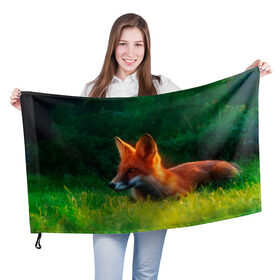 Флаг 3D с принтом Рыжая лиса , 100% полиэстер | плотность ткани — 95 г/м2, размер — 67 х 109 см. Принт наносится с одной стороны | fox | foxy | животное | звери | лиса | лисенок | лисичка | милая | рыжая | фокс