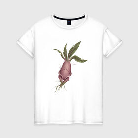 Женская футболка хлопок с принтом Мандрагора , 100% хлопок | прямой крой, круглый вырез горловины, длина до линии бедер, слегка спущенное плечо | корни | листочки | растение | фэнтези