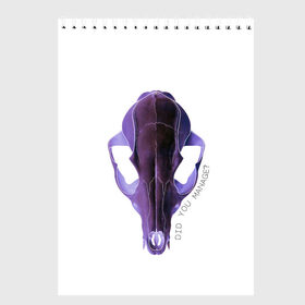Скетчбук с принтом The Skull , 100% бумага
 | 48 листов, плотность листов — 100 г/м2, плотность картонной обложки — 250 г/м2. Листы скреплены сверху удобной пружинной спиралью | альтернатива | андеграунд | гот | готика | готический стиль | готы | фиолетовый череп | череп | череп животного