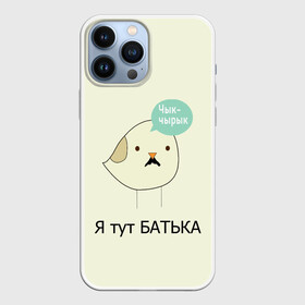 Чехол для iPhone 13 Pro Max с принтом Чык чырык ,  |  | belarus | chyk chyryk | daddy | lukashenka | mustache | print chyk chyryk | sparrow | sparrow chyk chyryk | sparrow with mustache | батька | беларусь | воробей | воробей с усами | воробей чык чырык | лукашенко | принт чык чырык | усы | чык ч