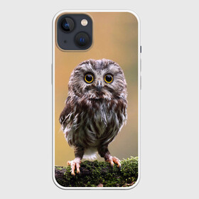 Чехол для iPhone 13 с принтом СОВЕНОК ,  |  | animal | bird | животные | звери | лес | малыш | природа | птенец | птицы | сова | совенок