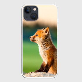 Чехол для iPhone 13 с принтом Лиса ,  |  | fox | foxy | животное | звери | лиса | лисенок | лисичка | милая | рыжая | фокс