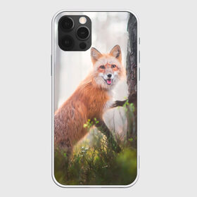 Чехол для iPhone 12 Pro Max с принтом Лисица , Силикон |  | fox | foxy | животное | звери | лиса | лисенок | лисичка | милая | рыжая | фокс
