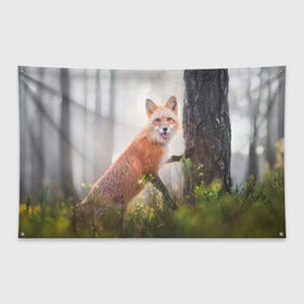 Флаг-баннер с принтом Лисица , 100% полиэстер | размер 67 х 109 см, плотность ткани — 95 г/м2; по краям флага есть четыре люверса для крепления | fox | foxy | животное | звери | лиса | лисенок | лисичка | милая | рыжая | фокс
