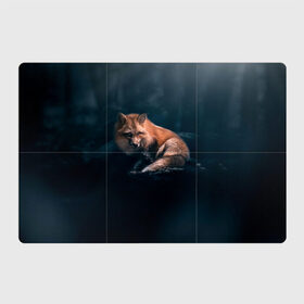 Магнитный плакат 3Х2 с принтом Мудрый лис , Полимерный материал с магнитным слоем | 6 деталей размером 9*9 см | Тематика изображения на принте: fox | foxy | животное | звери | лиса | лисенок | лисичка | милая | рыжая | фокс