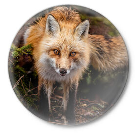 Значок с принтом Лиса ,  металл | круглая форма, металлическая застежка в виде булавки | fox | foxy | животное | звери | лиса | лисенок | лисичка | милая | рыжая | фокс
