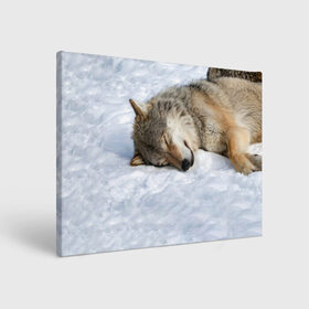 Холст прямоугольный с принтом Спящий Волк , 100% ПВХ |  | animals | wolf | волк | волки | животные | звери | зверь | одиночество | одиночка | пёс | собака | спящий волк