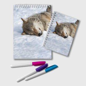 Блокнот с принтом Спящий Волк , 100% бумага | 48 листов, плотность листов — 60 г/м2, плотность картонной обложки — 250 г/м2. Листы скреплены удобной пружинной спиралью. Цвет линий — светло-серый
 | animals | wolf | волк | волки | животные | звери | зверь | одиночество | одиночка | пёс | собака | спящий волк