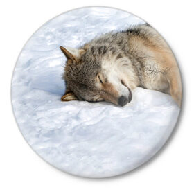 Значок с принтом Спящий Волк ,  металл | круглая форма, металлическая застежка в виде булавки | animals | wolf | волк | волки | животные | звери | зверь | одиночество | одиночка | пёс | собака | спящий волк