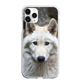 Чехол для iPhone 11 Pro матовый с принтом Волк , Силикон |  | animals | wolf | волк | волки | животные | звери | зверь | луна | одиночество | одиночка | пёс | собака
