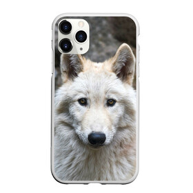 Чехол для iPhone 11 Pro Max матовый с принтом Волк , Силикон |  | animals | wolf | волк | волки | животные | звери | зверь | луна | одиночество | одиночка | пёс | собака