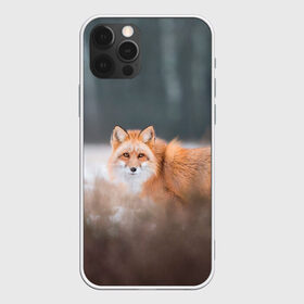 Чехол для iPhone 12 Pro Max с принтом Лиса , Силикон |  | fox | foxy | животное | звери | лиса | лисенок | лисичка | милая | рыжая | фокс