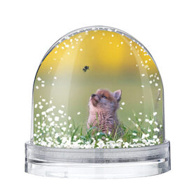 Снежный шар с принтом Лисенок и пчелка , Пластик | Изображение внутри шара печатается на глянцевой фотобумаге с двух сторон | fox | foxy | животное | звери | лиса | лисенок | лисичка | милая | рыжая | фокс