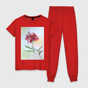 Женская пижама хлопок с принтом Пион , 100% хлопок | брюки и футболка прямого кроя, без карманов, на брюках мягкая резинка на поясе и по низу штанин | tgcarpg | акварель | живопись | искусство | красный | пион | цветок