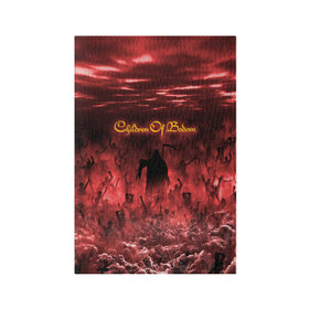 Обложка для паспорта матовая кожа с принтом Children of Bodom , натуральная матовая кожа | размер 19,3 х 13,7 см; прозрачные пластиковые крепления | cobhc | death | metal | дым | концерт | метал | рок | толпа