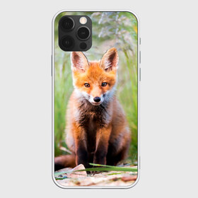 Чехол для iPhone 12 Pro Max с принтом Лисичка , Силикон |  | fox | foxy | животное | звери | лиса | лисенок | лисичка | милая | рыжая | фокс