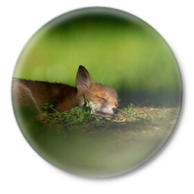 Значок с принтом Сонный лисенок ,  металл | круглая форма, металлическая застежка в виде булавки | fox | foxy | животное | звери | лиса | лисенок | лисичка | милая | рыжая | фокс