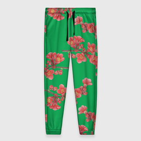 Женские брюки 3D с принтом Цветы айвы на зеленом фоне , полиэстер 100% | прямой крой, два кармана без застежек по бокам, с мягкой трикотажной резинкой на поясе и по низу штанин. В поясе для дополнительного комфорта — широкие завязки | 8 марта | flowers | summer | айва | ботаническая иллюстрация | весна | ветки | зеленый | коричневый | красный | лето | любовь | праздник | принт | природа | растения | цветы