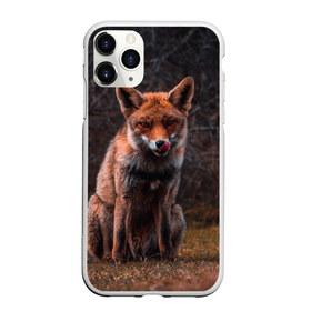 Чехол для iPhone 11 Pro Max матовый с принтом Хищная лисица , Силикон |  | fox | foxy | животное | звери | лиса | лисенок | лисичка | милая | рыжая | фокс