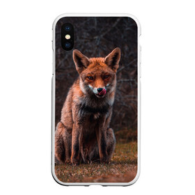 Чехол для iPhone XS Max матовый с принтом Хищная лисица , Силикон | Область печати: задняя сторона чехла, без боковых панелей | Тематика изображения на принте: fox | foxy | животное | звери | лиса | лисенок | лисичка | милая | рыжая | фокс