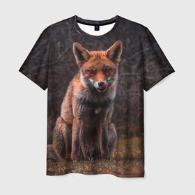 Мужская футболка 3D с принтом Хищная лисица , 100% полиэфир | прямой крой, круглый вырез горловины, длина до линии бедер | fox | foxy | животное | звери | лиса | лисенок | лисичка | милая | рыжая | фокс