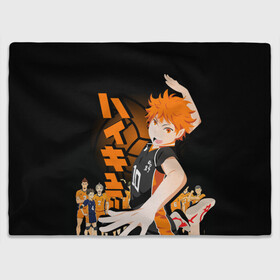 Плед 3D с принтом ВОЛЕЙБОЛ!! / HAIKYUU!! , 100% полиэстер | закругленные углы, все края обработаны. Ткань не мнется и не растягивается | anime | haikyu | haikyuu | karasuno | аниме | волейбол | ворон | карасуно | манга | мяч | сёё хината