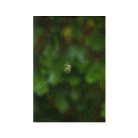 Обложка для паспорта матовая кожа с принтом Паучок , натуральная матовая кожа | размер 19,3 х 13,7 см; прозрачные пластиковые крепления | Тематика изображения на принте: spider | web | зелень | лес | макро | паук | паутина | природа