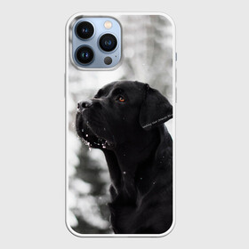 Чехол для iPhone 13 Pro Max с принтом Лабрадор Марк ,  |  | Тематика изображения на принте: dog | winter | животные | зима | лабрадор | лабрадор ретривер | снег | собака