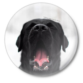 Значок с принтом Лабр Марк ,  металл | круглая форма, металлическая застежка в виде булавки | dog | winter | животные | звери | зима | лабрадор | лабрадор ретривер | собаки