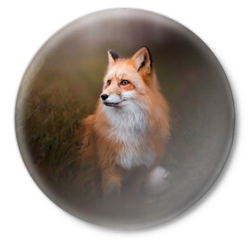 Значок с принтом Лиса-охотница ,  металл | круглая форма, металлическая застежка в виде булавки | fox | foxy | животное | звери | лиса | лисенок | лисичка | милая | рыжая | фокс
