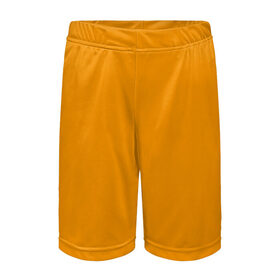 Детские спортивные шорты 3D с принтом Цвет Шафран (без рисунка) ,  100% полиэстер
 | пояс оформлен широкой мягкой резинкой, ткань тянется
 | без рисунка | горчичный | желто оранжевый тон | желтый | модные цвета 2020 | оранжевый | рыжий | сочный цвет | цвет 2020 | шафран | яркие цвета