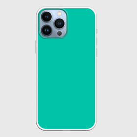 Чехол для iPhone 13 Pro Max с принтом Бискайский зеленый без рисунка ,  |  | 2020 года | biscay | biscay green | panton vesna | pantone | бирюзовый | бискайский залив | бискайский зеленый | весна лето | зеленый | модные цвета | цвет 2020 года