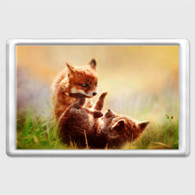 Магнит 45*70 с принтом Лисята играют , Пластик | Размер: 78*52 мм; Размер печати: 70*45 | fox | foxy | животное | звери | лиса | лисенок | лисичка | милая | рыжая | фокс