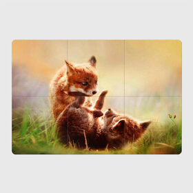 Магнитный плакат 3Х2 с принтом Лисята играют , Полимерный материал с магнитным слоем | 6 деталей размером 9*9 см | fox | foxy | животное | звери | лиса | лисенок | лисичка | милая | рыжая | фокс