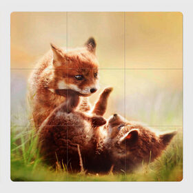 Магнитный плакат 3Х3 с принтом Лисята играют , Полимерный материал с магнитным слоем | 9 деталей размером 9*9 см | Тематика изображения на принте: fox | foxy | животное | звери | лиса | лисенок | лисичка | милая | рыжая | фокс