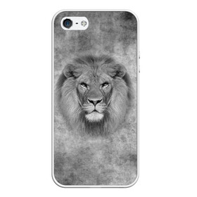 Чехол для iPhone 5/5S матовый с принтом Лев , Силикон | Область печати: задняя сторона чехла, без боковых панелей | big cat | lion | зверь | кошка | лев | львенок | львица | хищник | царь зверей