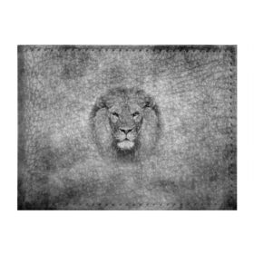 Обложка для студенческого билета с принтом Лев , натуральная кожа | Размер: 11*8 см; Печать на всей внешней стороне | Тематика изображения на принте: big cat | lion | зверь | кошка | лев | львенок | львица | хищник | царь зверей